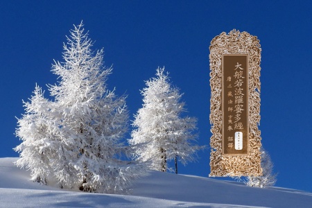 大般若波罗蜜多经卷第四百八十五-内学智慧宝库