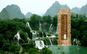 大般若波罗蜜多经卷第四百八十九-内学智慧