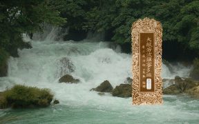 大般若波罗蜜多经卷第四百九十一-内学智慧