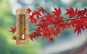 大般若波罗蜜多经卷第四百九十二-内学智慧