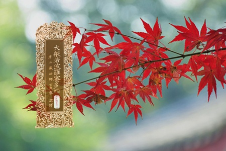 大般若波罗蜜多经卷第四百九十二-内学智慧宝库