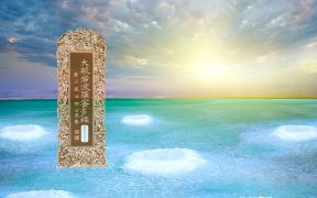 大般若波罗蜜多经卷第四百九十四-内学智慧