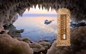 大般若波罗蜜多经卷第四百九十七-内学智慧