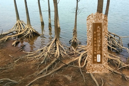 大般若波罗蜜多经卷第五百一-内学智慧宝库