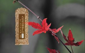 大般若波罗蜜多经卷第五百二-内学智慧