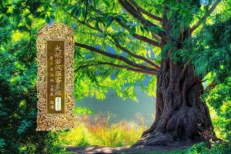 大般若波罗蜜多经卷第五百四-内学智慧宝库