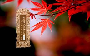 大般若波罗蜜多经卷第五百一十二-内学智慧