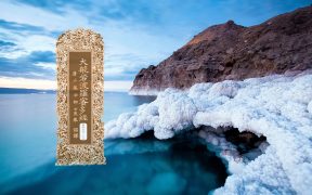 大般若波罗蜜多经卷第五百一十四-内学智慧