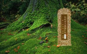 大般若波罗蜜多经卷第五百一十七-内学智慧