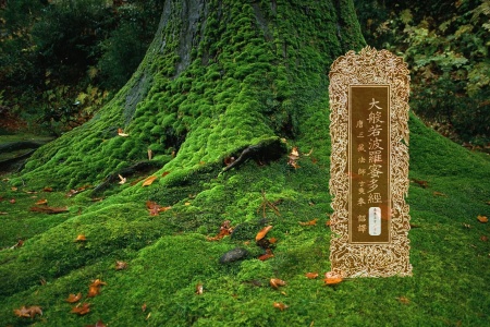 大般若波罗蜜多经卷第五百一十七-内学智慧宝库