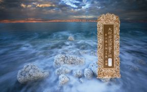 大般若波罗蜜多经卷第五百一十九-内学智慧