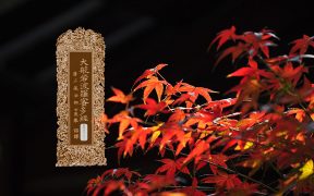 大般若波罗蜜多经卷第五百二十二-内学智慧