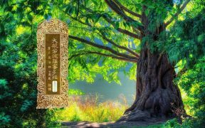 大般若波罗蜜多经卷第五百二十四-内学智慧