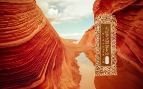 大般若波罗蜜多经卷第五百二十五-内学智慧