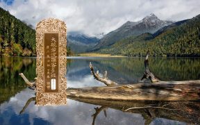 大般若波罗蜜多经卷第五百二十八-内学智慧