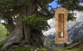 大般若波罗蜜多经卷第五百二十九-内学智慧