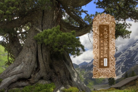 大般若波罗蜜多经卷第五百二十九-内学智慧宝库