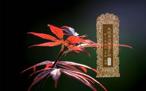 大般若波罗蜜多经卷第五百三十七-内学智慧