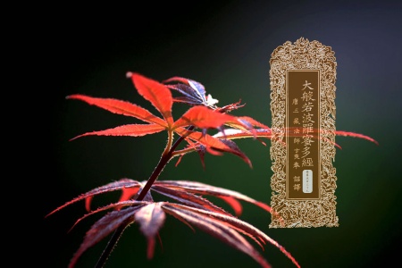 大般若波罗蜜多经卷第五百三十七-内学智慧宝库