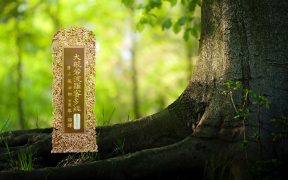 大般若波罗蜜多经卷第五百三十八-内学智慧