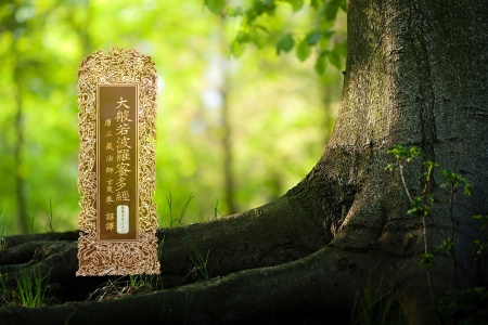 大般若波罗蜜多经卷第五百三十八-内学智慧宝库