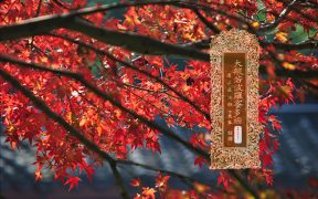 大般若波罗蜜多经卷第五百五十一-内学智慧