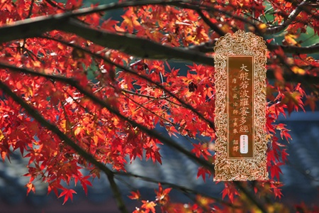 大般若波罗蜜多经卷第五百五十一-内学智慧宝库