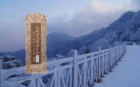 大般若波罗蜜多经卷第五百六十二-内学智慧