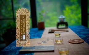 大般若波罗蜜多经卷第五百六十四-内学智慧