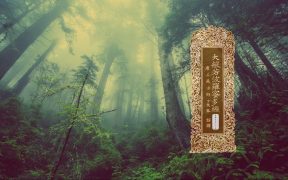 大般若波罗蜜多经卷第五百六十五-内学智慧