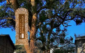 大般若波罗蜜多经卷第五百七十四-内学智慧