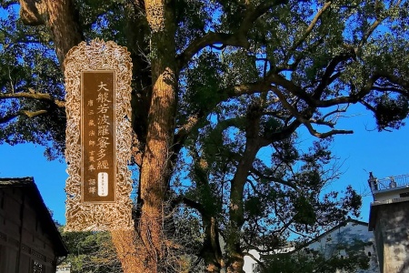 大般若波罗蜜多经卷第五百七十四-内学智慧宝库