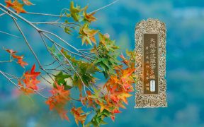 大般若波罗蜜多经卷第五百七十七-内学智慧
