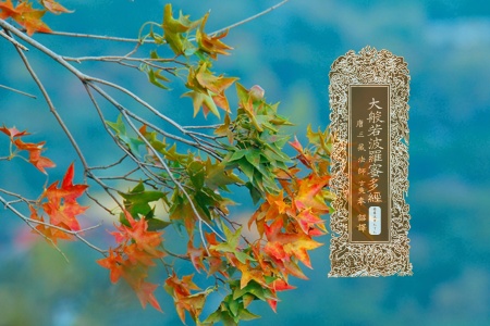 大般若波罗蜜多经卷第五百七十七-内学智慧宝库