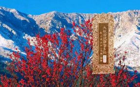 大般若波罗蜜多经卷第五百八十一-内学智慧