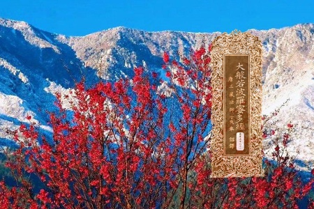 大般若波罗蜜多经卷第五百八十一-内学智慧宝库