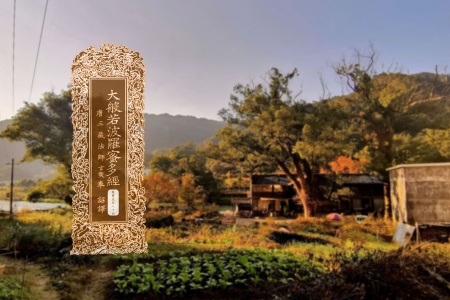 大般若波罗蜜多经卷第五百八十四-内学智慧宝库