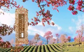 大般若波罗蜜多经卷第五百八十六-内学智慧