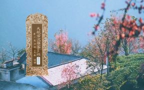 大般若波罗蜜多经卷第五百九十四-内学智慧