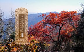 大般若波罗蜜多经卷第五百九十六-内学智慧