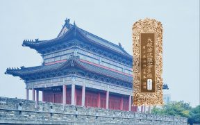 大般若波罗蜜多经卷第五百九十九-内学智慧