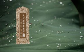 大方广佛华严经卷第十四-内学智慧