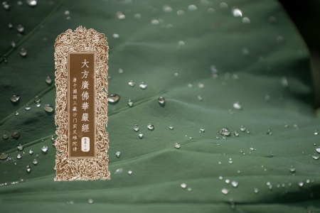 大方广佛华严经卷第十四-内学智慧