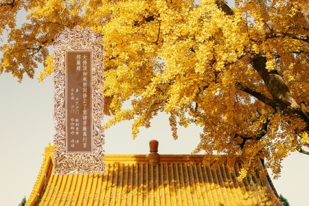 目录：大佛顶如来密因修证了义诸菩萨万行首楞严经-内学智慧