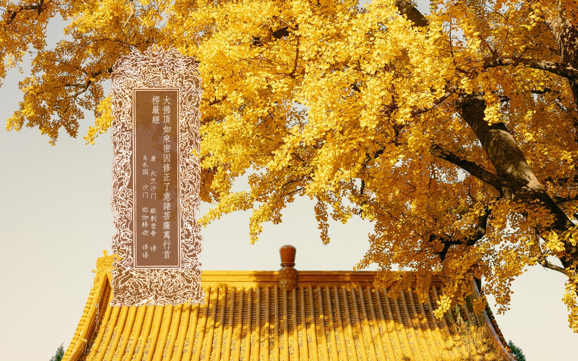 目录：大佛顶如来密因修证了义诸菩萨万行首楞严经-内学智慧