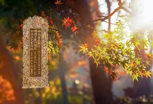 佛说善恭敬经-内学智慧