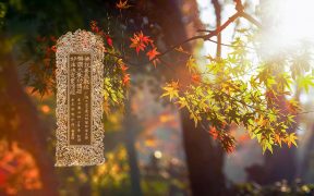 佛说善恭敬经-内学智慧