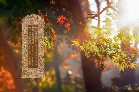 佛说善恭敬经-内学智慧