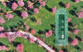 悲华经卷第六-内学智慧