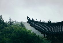 摩诃僧只律卷第九上-内学智慧